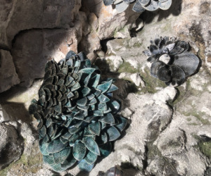Les céramiques de Anne Deberly exposées dans la cave de Marleine