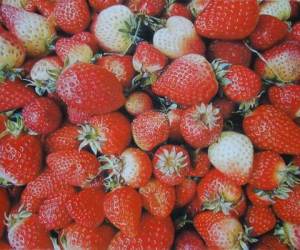 Boileau_Fraises-en-vrac