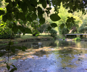 PAM2020_expo_suite-12