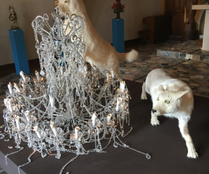 PAM2020_expo_suite-2