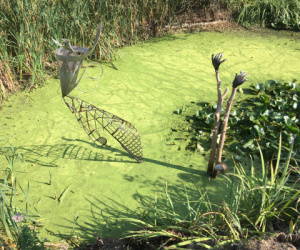 PAM2020_expo_suite-20