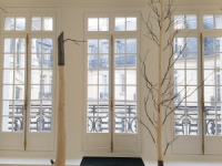 betula-1-et-2-jour