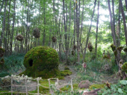 Les Fées Arctivistes