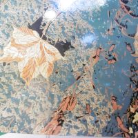 Véronique ZIMMERMAN