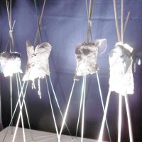 Véronique ZIMMERMAN