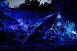 Les Tisseuses de liens