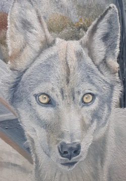 Marjolaine co.Leman - ©"les loups"