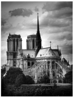 ©Photo de Alain Gillet "Notre Dame de Paris"