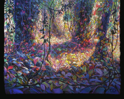 Brunon Bisi
©Feyssine Pissaro