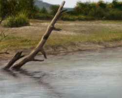 Cantarana
Pastel - ©Bords de Loire