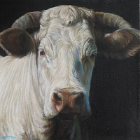 ©Vache charolaise - Gilles CAPTON- Invité d'honneur - (TOUS DROITS RÉSERVÉS)