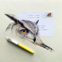 ©Hibou - Dessin au style bille de Céline GLAD
Tous droits réservés